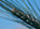 ETP "<b>Plants for the Future"</b> ETP "<b>Plants for the Future"</b>